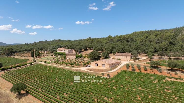 Château avec domaine viticole