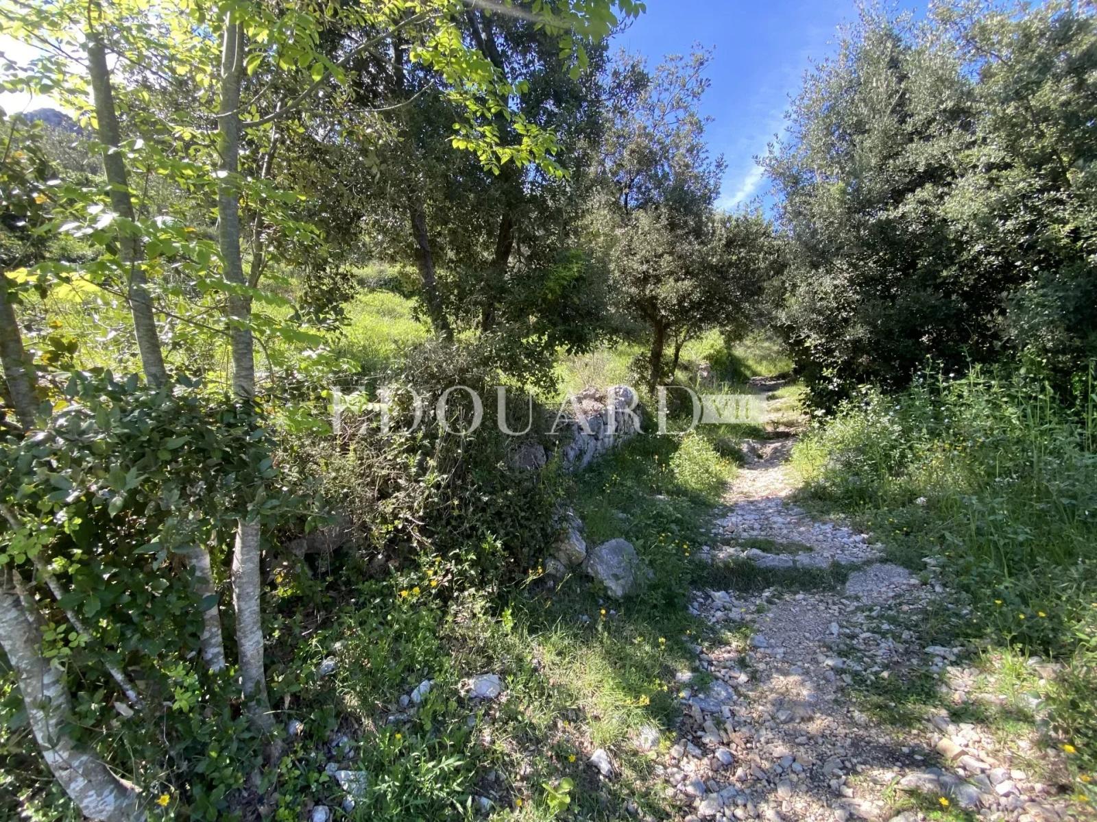 Joli terrain non constructible de 3.063 m² avec accès direct et vue panoramique jusqu'à la mer