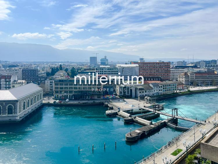 Appartement d'exception refait à neuf au Quai du Seujet