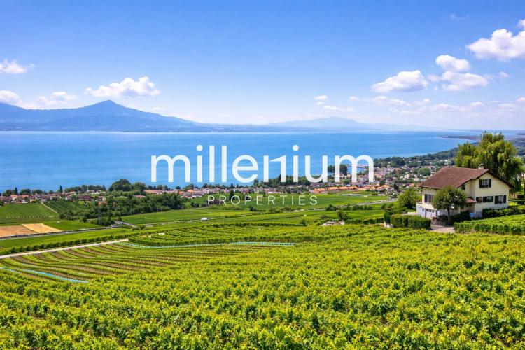 Appartement d’exception avec terrasse et vue panoramique sur le lac