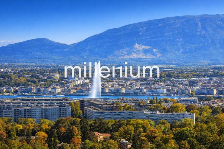Magnifique appartement proche ONU