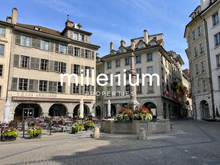 Magnifique appartement en Veille-Ville