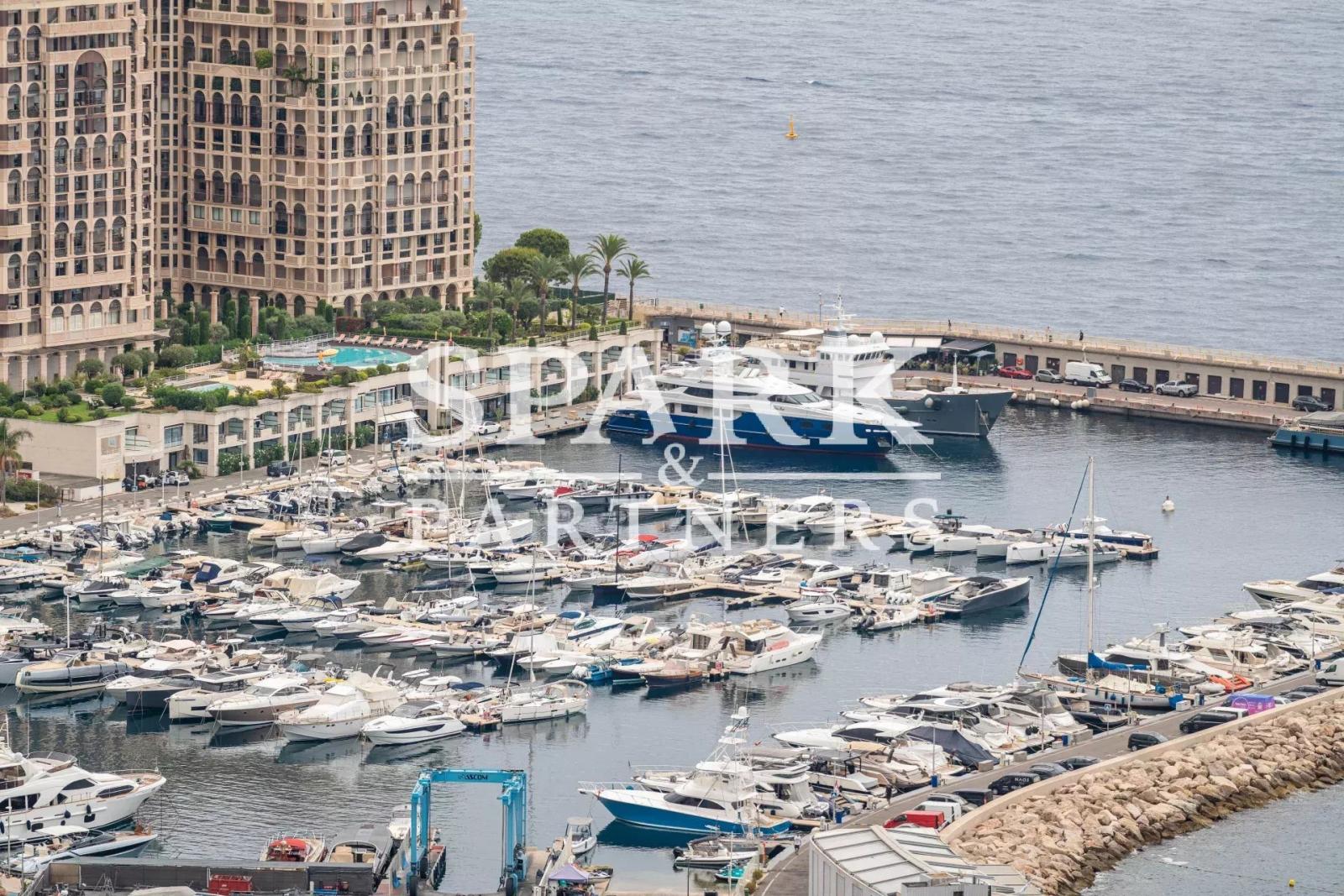 Cap d'Ail - Appartement 2 pièces avec une vue imprenable sur la mer et piscine