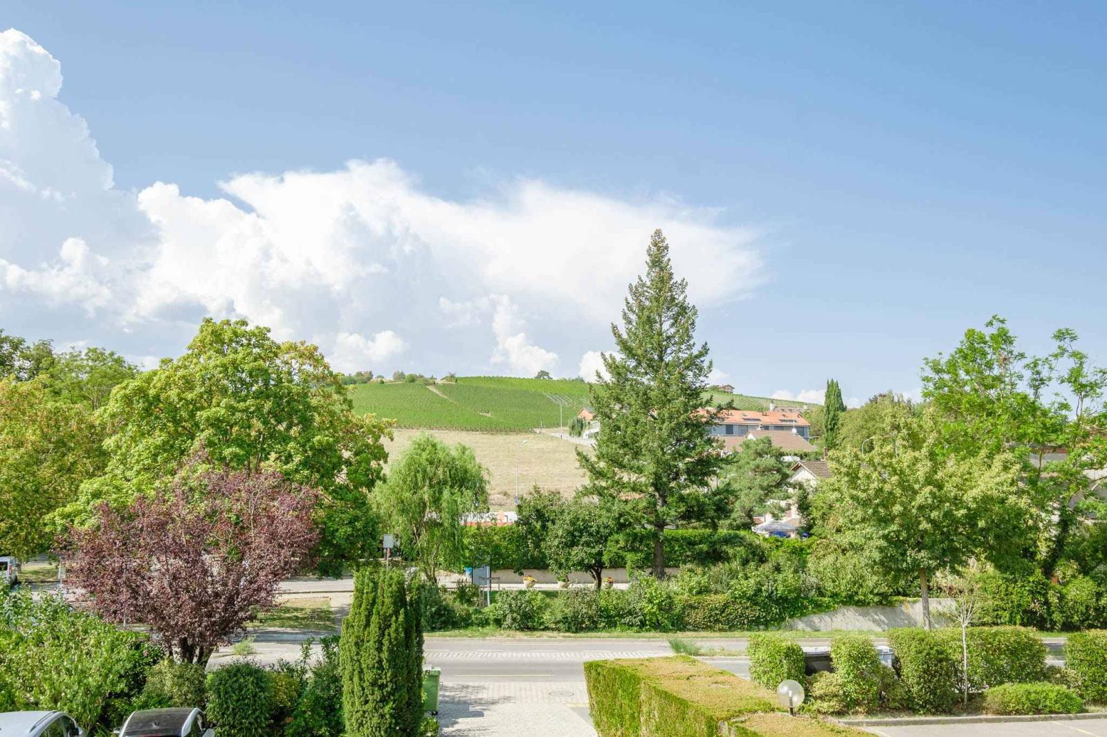 En exclusivité - Charmante et spacieuse villa familiale à Lully