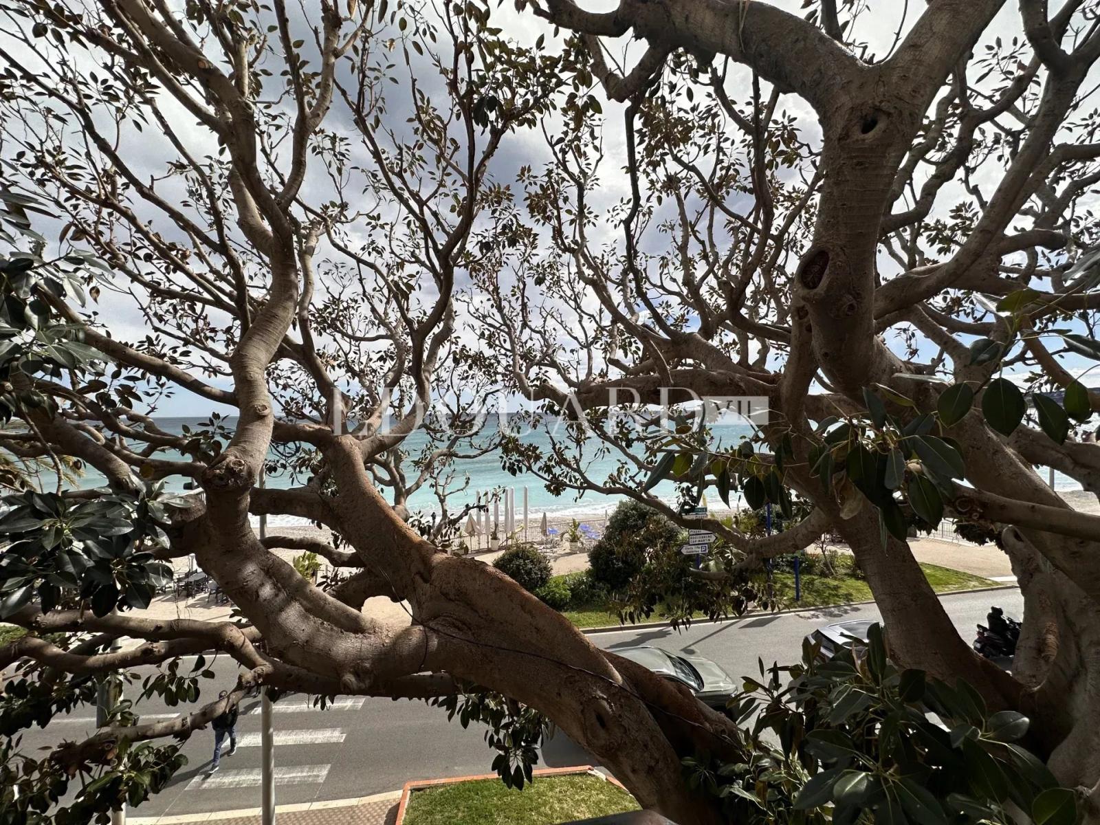 Dans résidence de luxe, deux pièces avec grande terrasse,  belle vue mer,  cave et parking en sous-sol