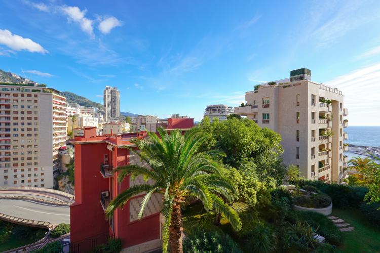 MONEGHETTI - GRAND STUDIO AVEC TERRASSE - USAGE MIXTE