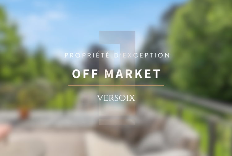 Magnifique maison de Maître à deux pas du lac