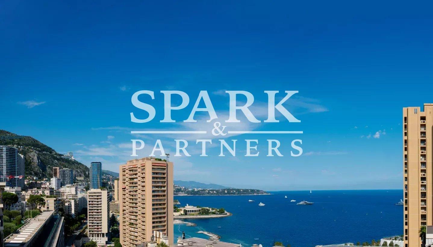 Somptueux duplex 5 pièces en cours de rénovation