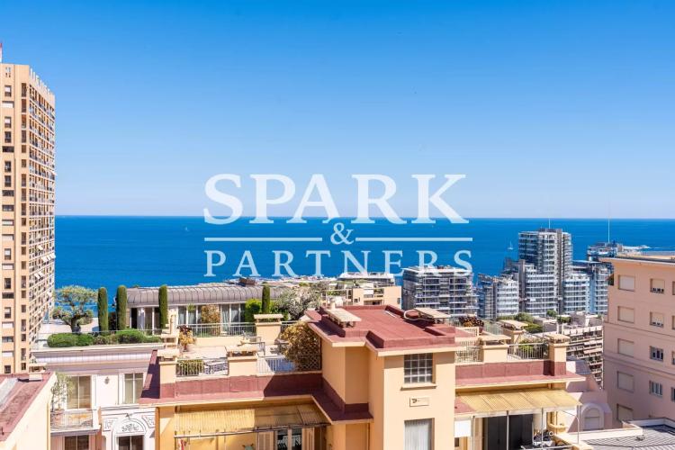 Monaco - Monte-Carlo - Superbe appartement 3 pièces