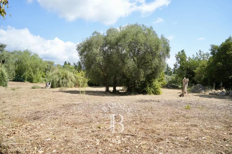 Roquefort les Pins - Terrain Calme Plat