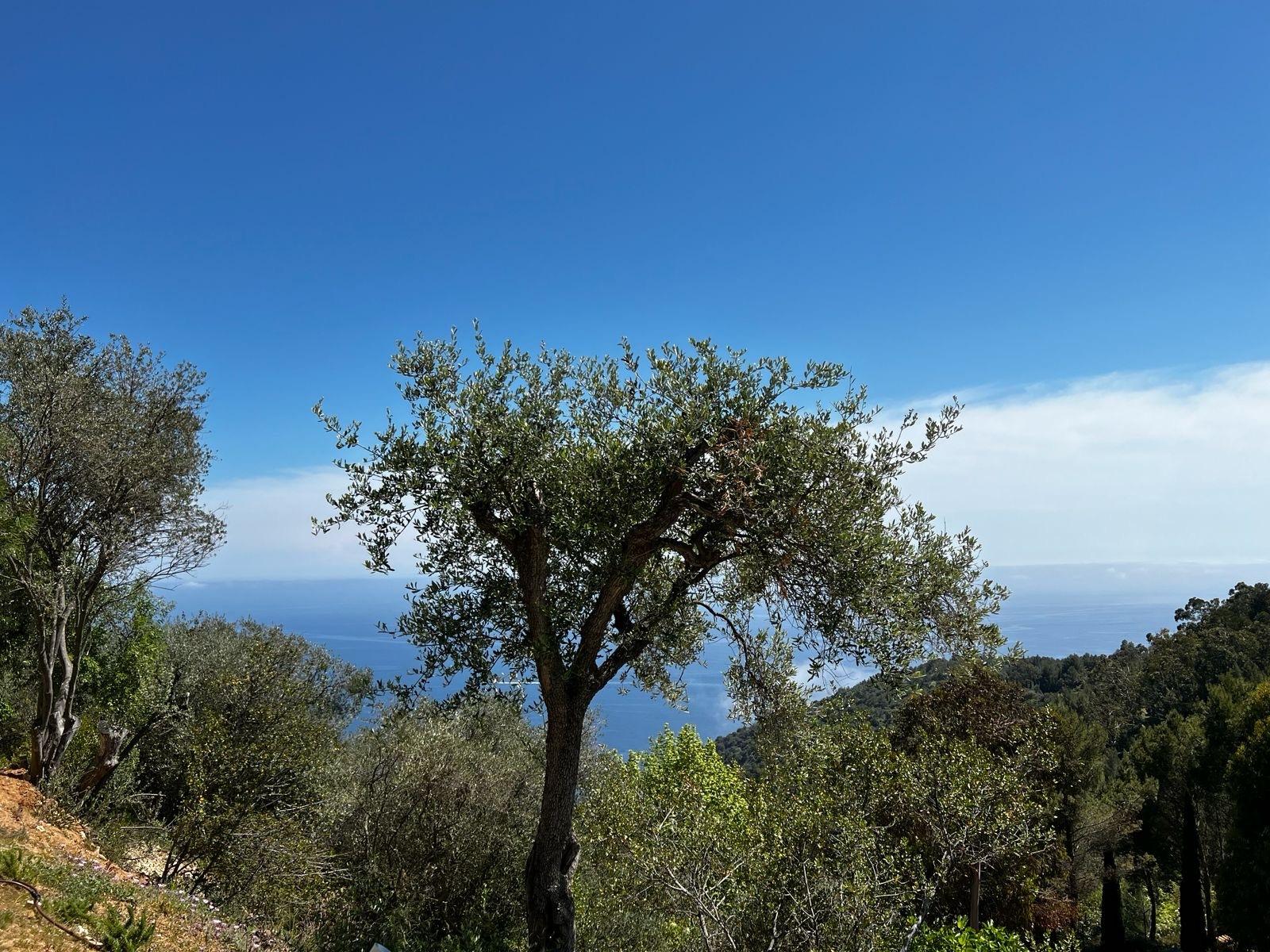 ÈZE – SO INFINY – 3 PIÈCES MEUBLÉ AVEC JARDIN, PISCINE ET DEUX PARKINGS
