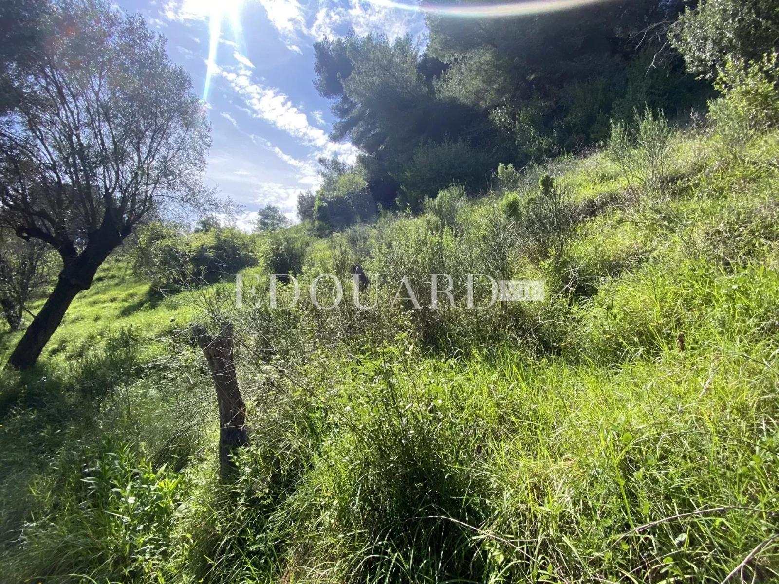 Joli terrain non constructible de 3.063 m² avec accès direct et vue panoramique jusqu'à la mer