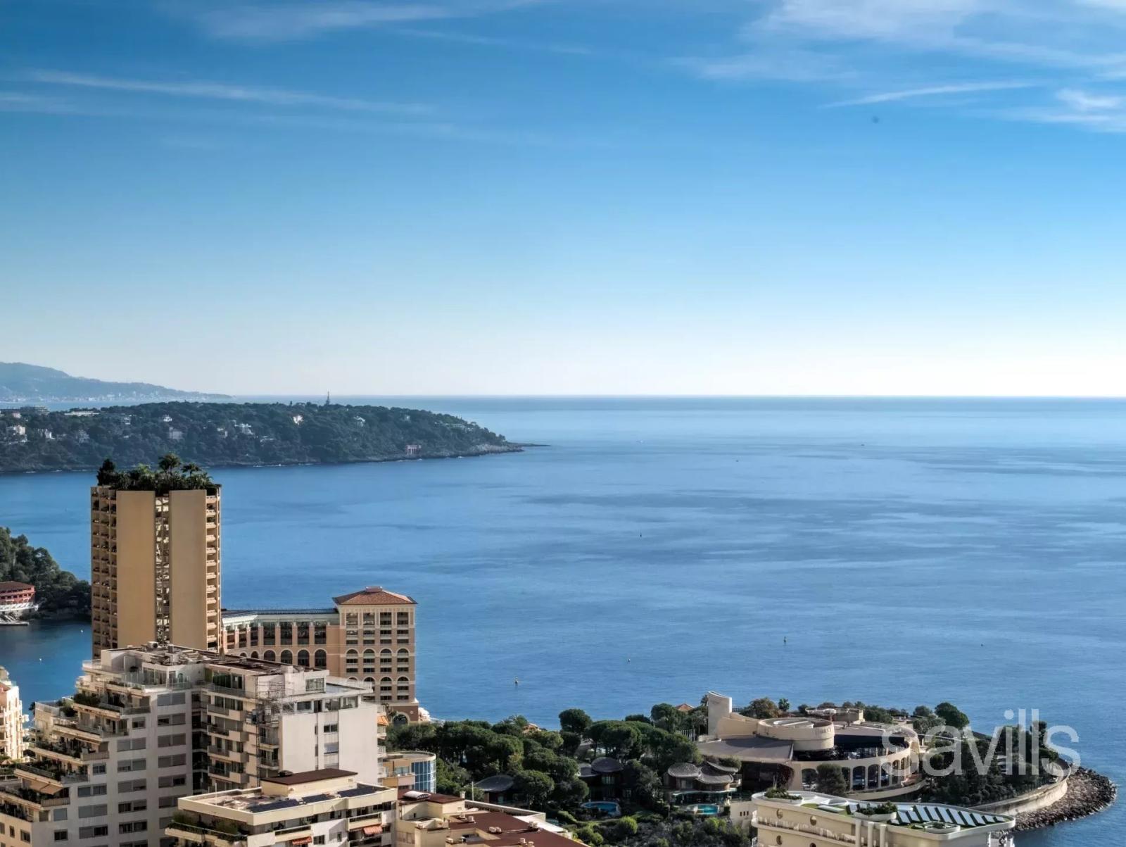 Magnifique penthouse avec vue sur Monaco