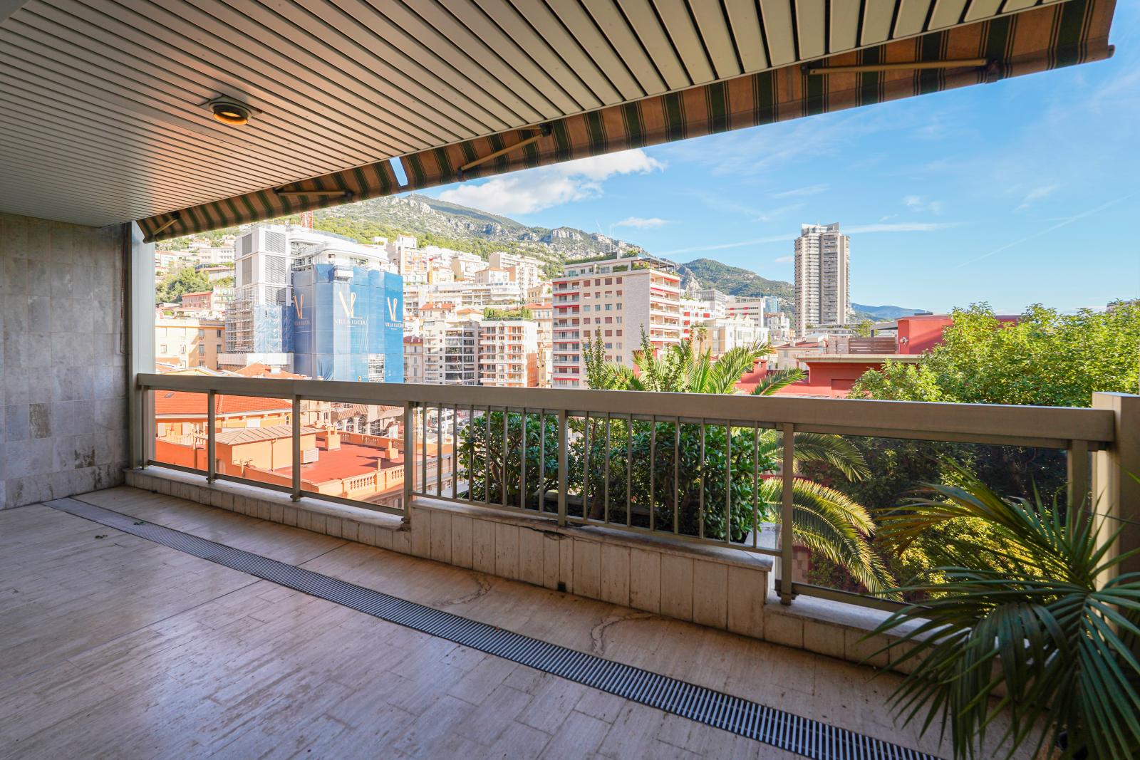 MONEGHETTI - GRAND STUDIO AVEC TERRASSE - USAGE MIXTE