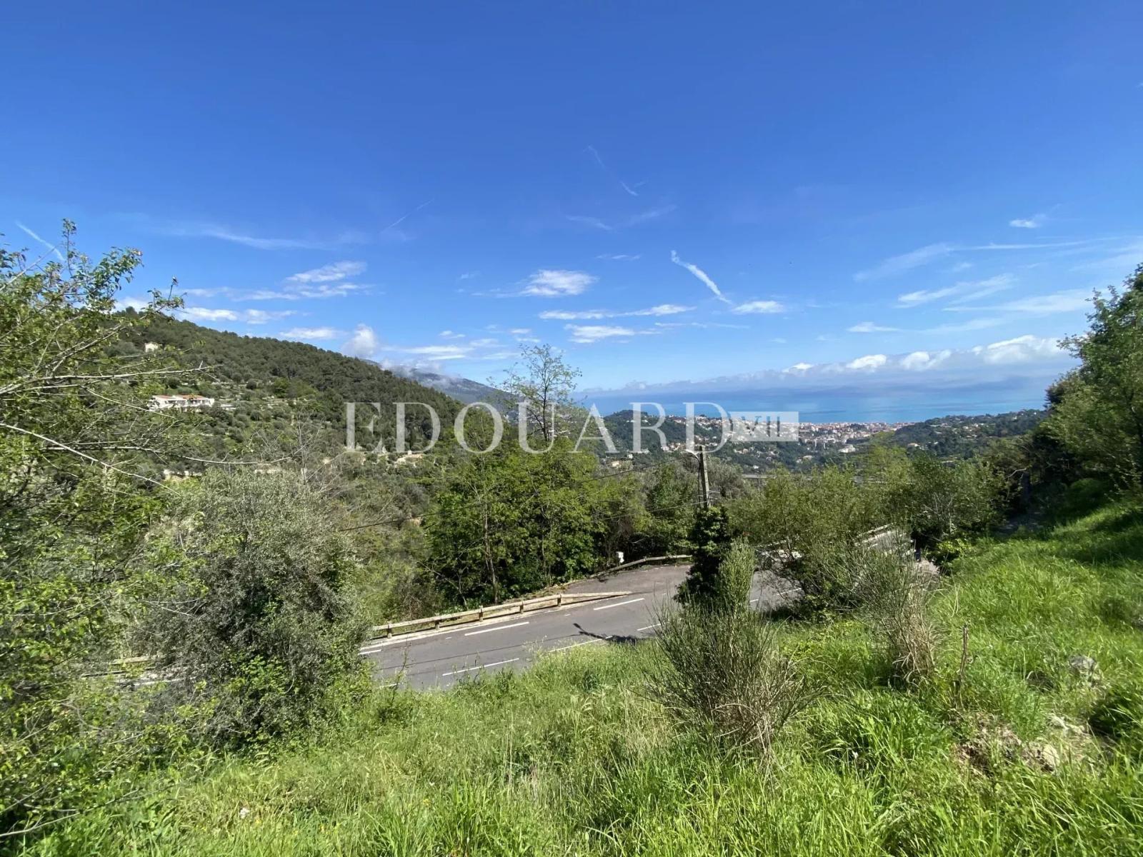 Joli terrain non constructible de 3.063 m² avec accès direct et vue panoramique jusqu'à la mer