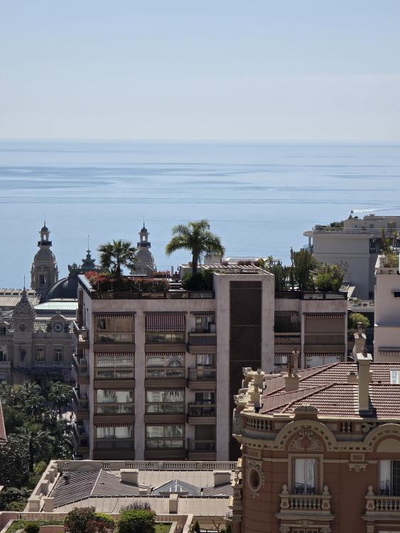 MAGNIFIQUE APPARTEMENT BOURGEOIS EN PENTHOUSE VUE MER