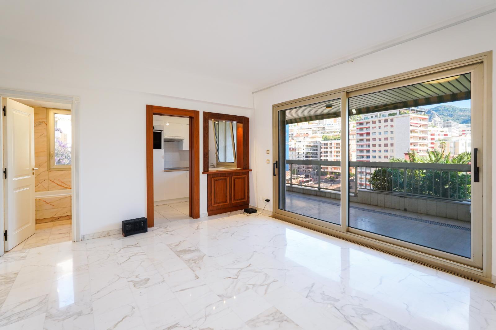 MONEGHETTI - GRAND STUDIO AVEC TERRASSE - USAGE MIXTE