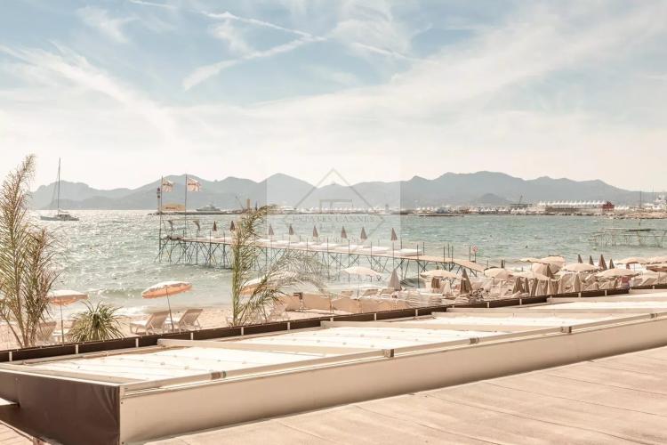 Palm Beach – Raffiné 2 pièces rénové, emplacement premium Croisette