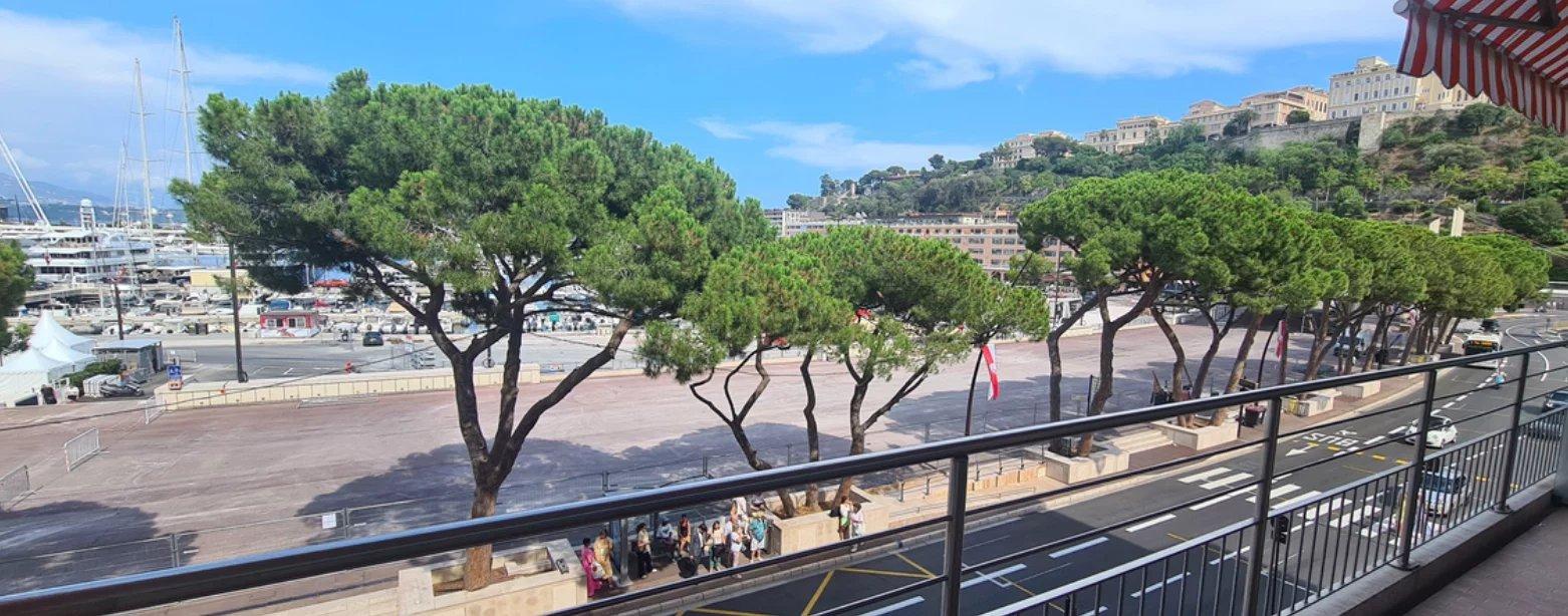 Appartement 3 pièces avec vue port et Grand Prix