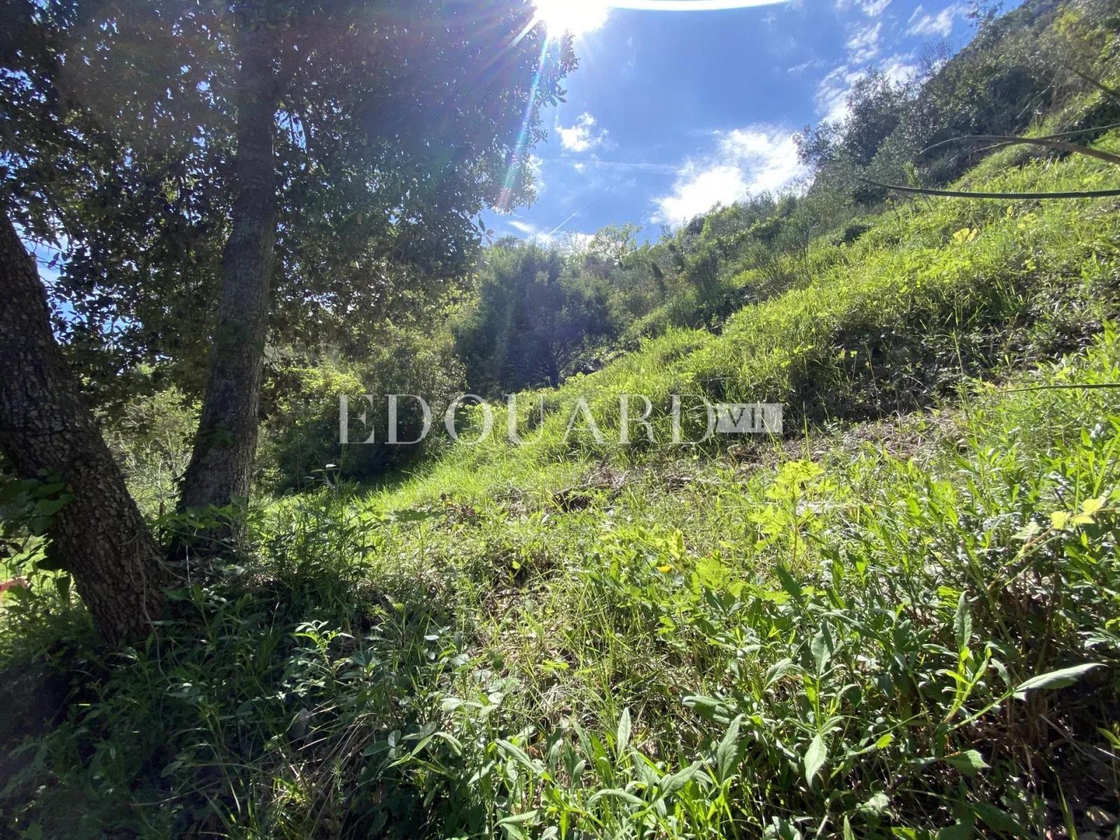 Joli terrain non constructible de 3.063 m² avec accès direct et vue panoramique jusqu'à la mer