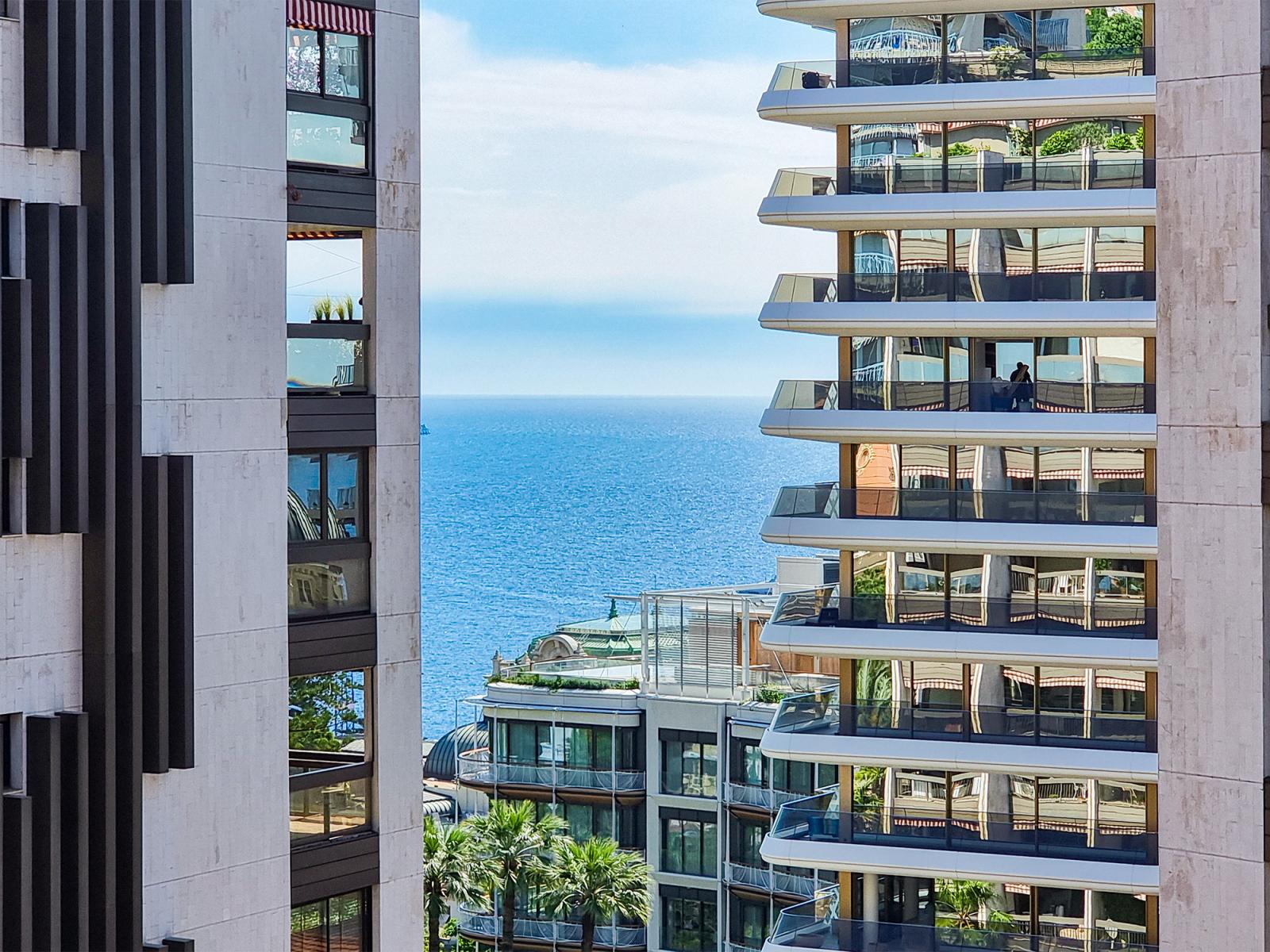 MONTE-CARLO - BUREAUX MEUBLES SPACIEUX - ETAGE ELEVE