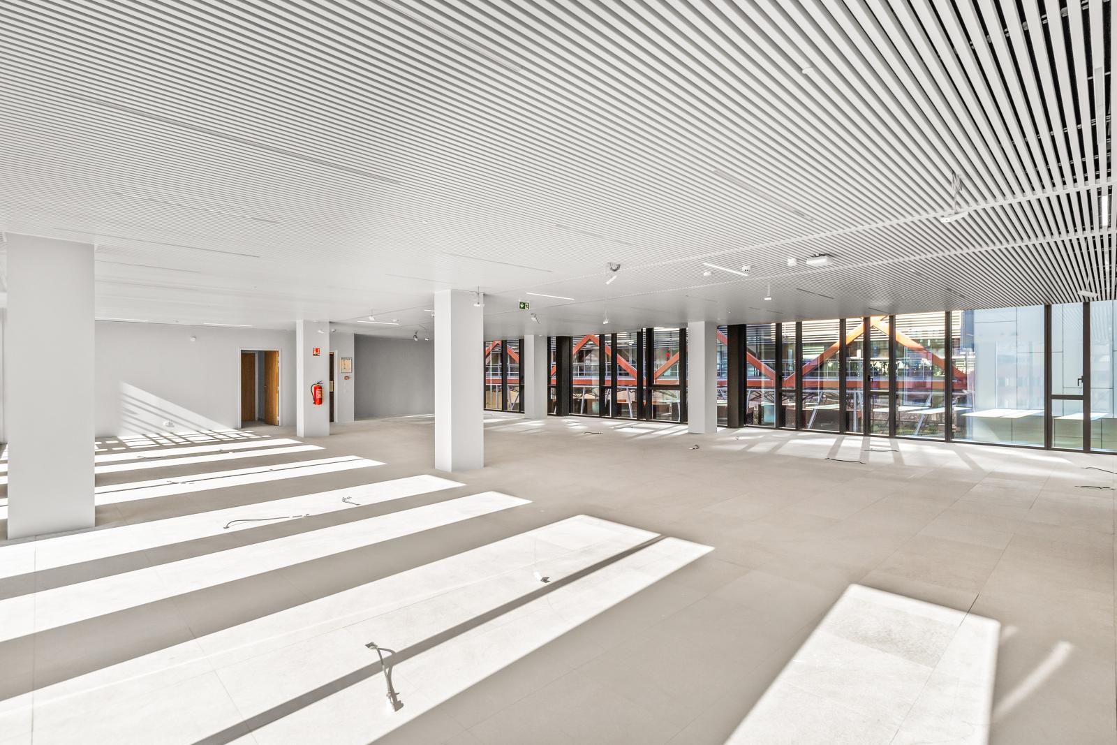 Fontvieille: Bureaux entièrement renovés
