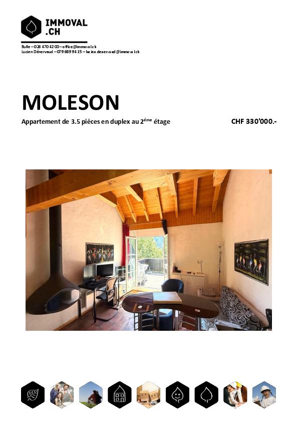 MOLESON | APPARTEMENT 3.5 p en duplex