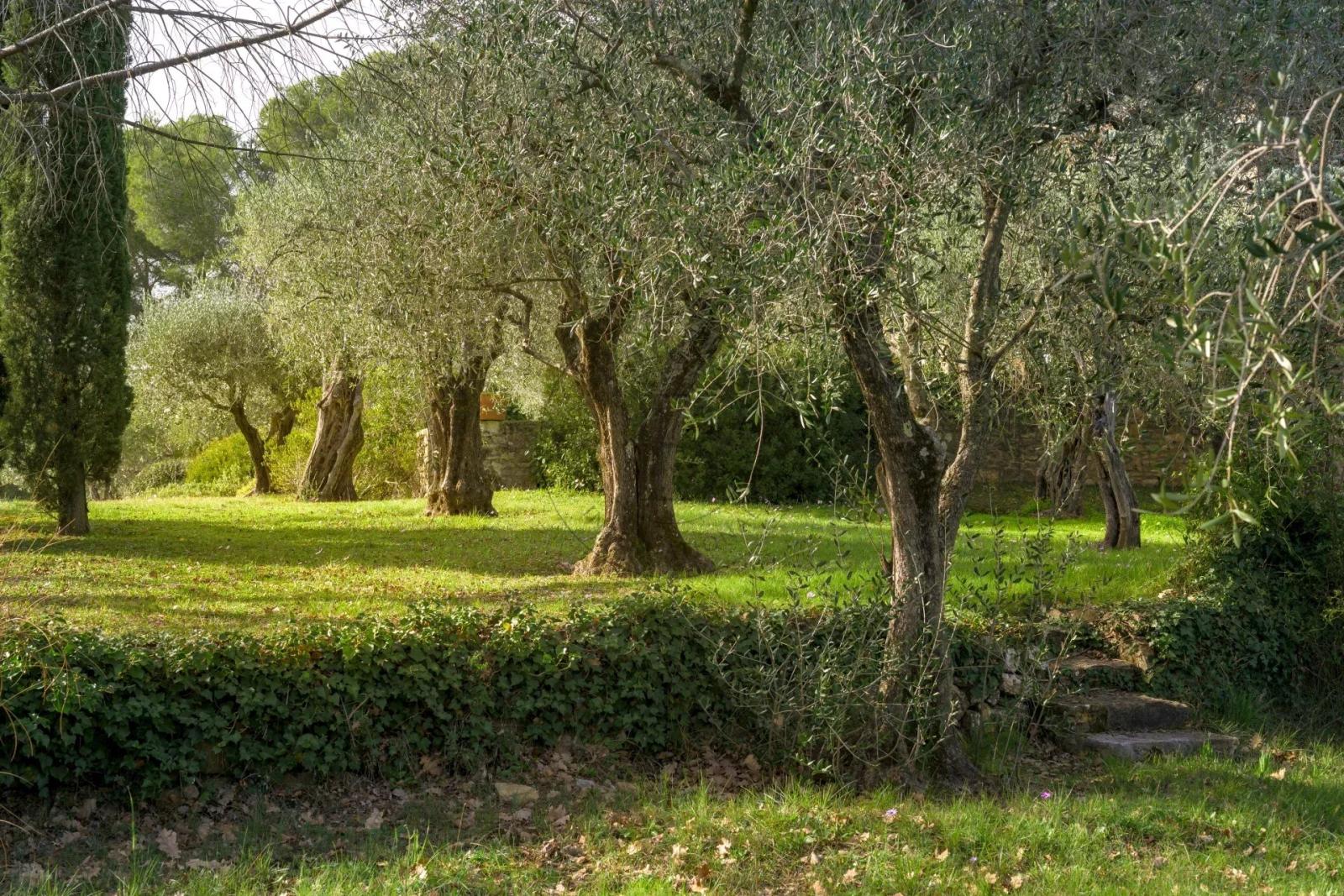 MOUGINS - DOMAINE AVEC BASTIDES PROVENÇALES - VUE VILLAGE ET MER