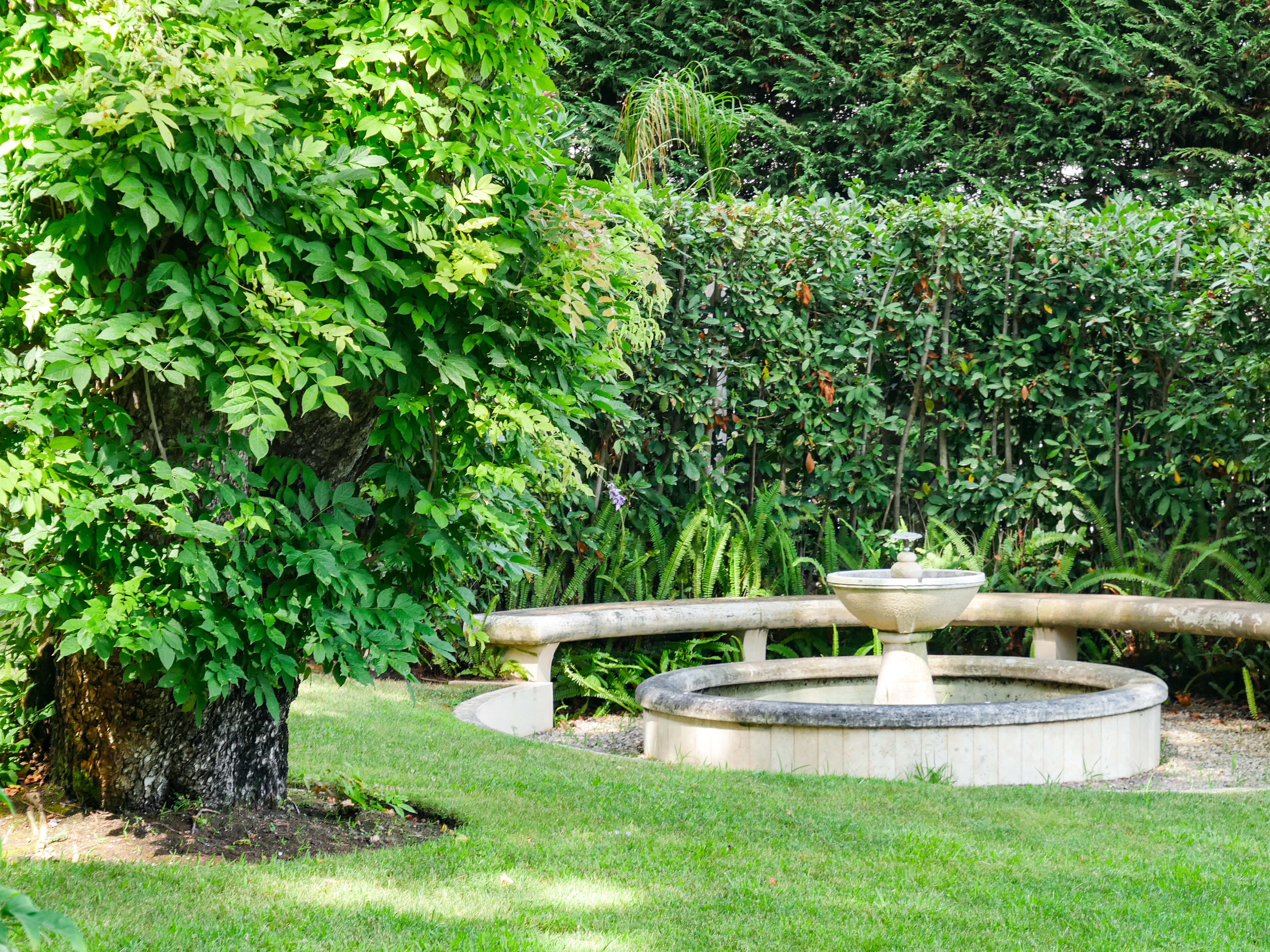 aef45_jardin-1739205736.jpg