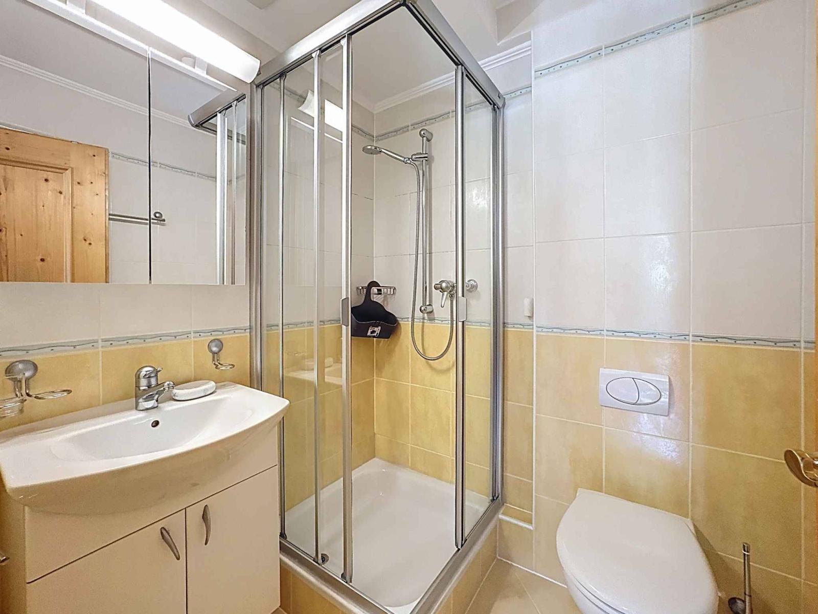 PLANS-MAYENS - Charmant 2.5 pièces à deux pas des pistes de ski