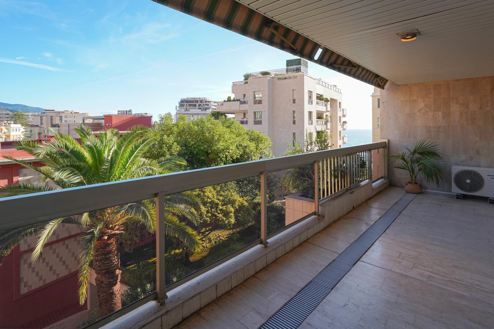 MONEGHETTI - GRAND STUDIO AVEC TERRASSE - USAGE MIXTE