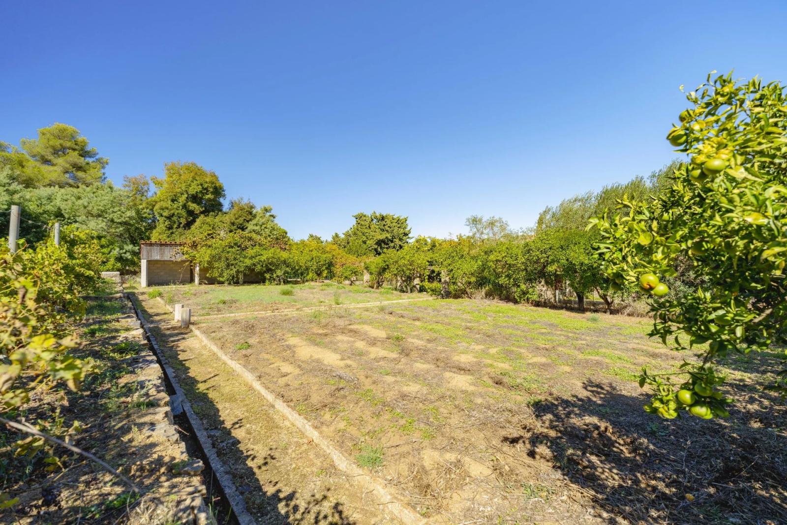 Villa de luxe à vendre Les Salins Saint-Tropez – à Pieds centre et plage