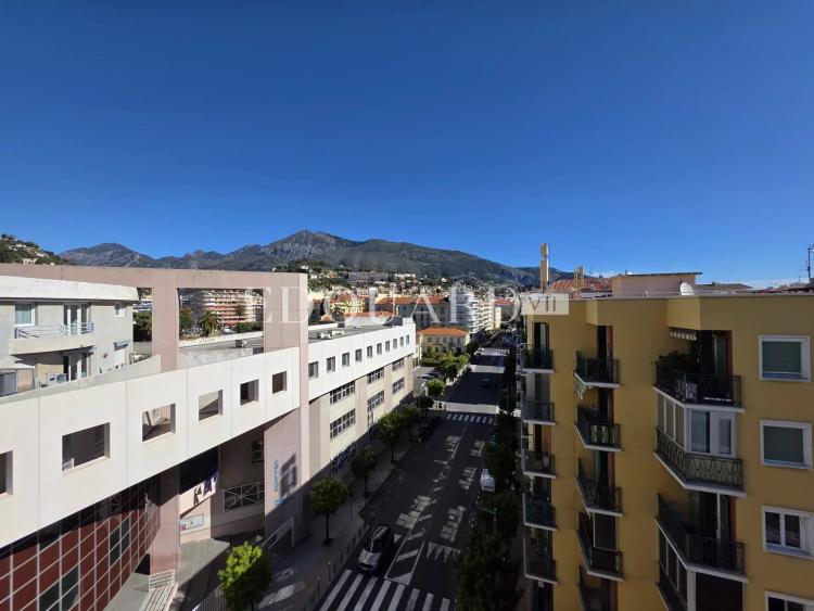 Spacieux deux pièces à vendre en avant dernier étage  avec grand balcon, cave et possibilité garage