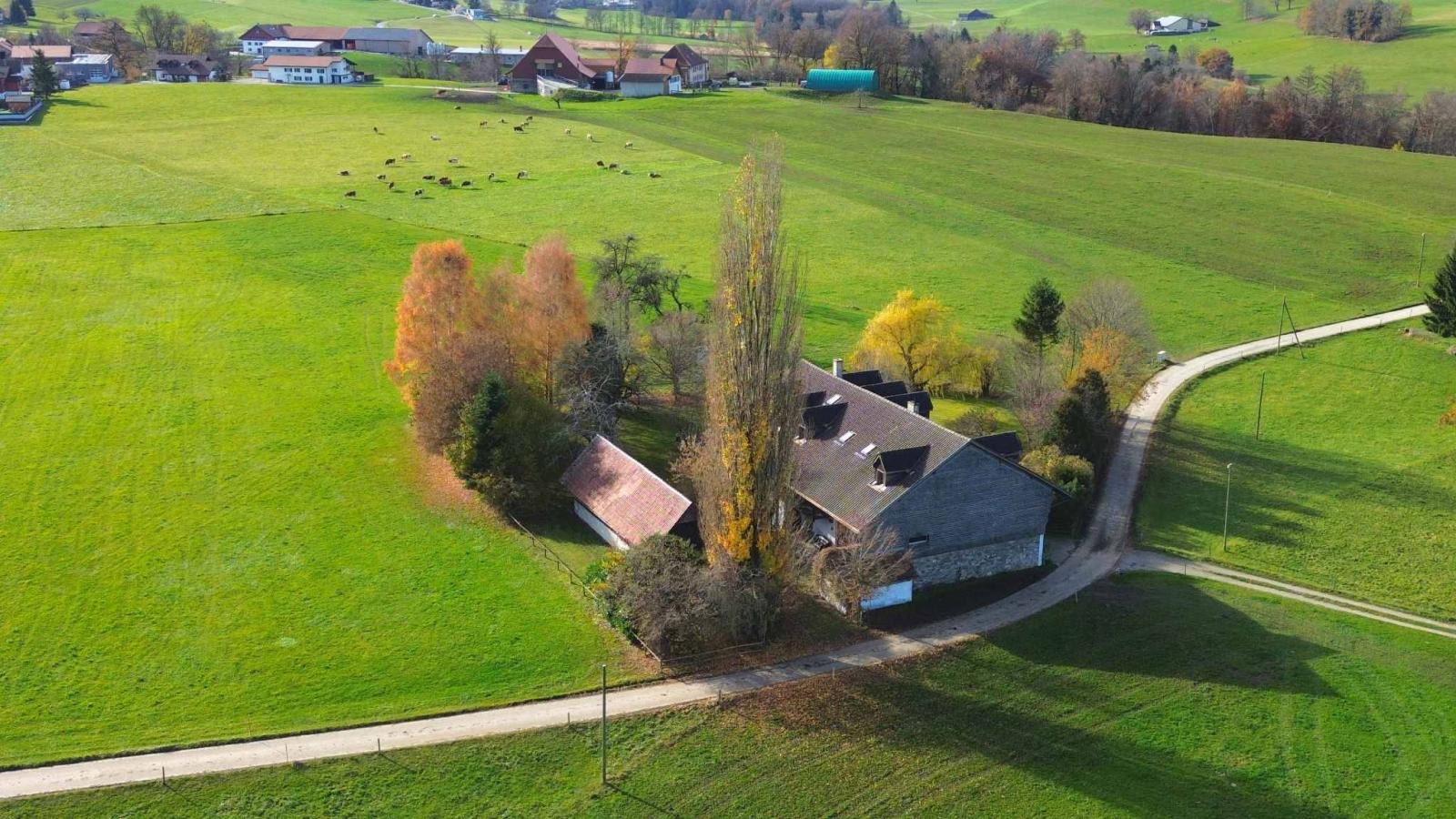 Propriété de 10 pièces en pleine nature 