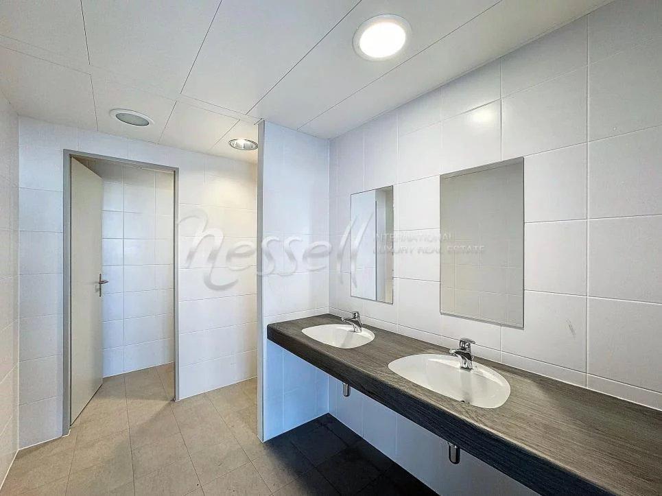 Magnifique surface de bureaux