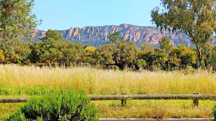 AGAY CAP ESTEREL 2 PIÈCES TRAME LARGE AVEC JARDIN