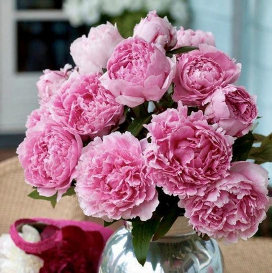 FLEURISTE OU TOUT AUTRE ACTIVITE