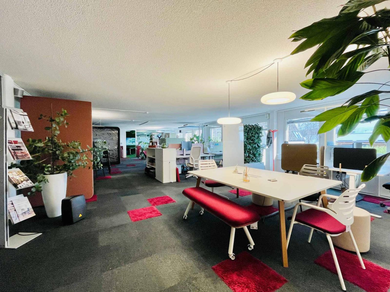 Local commercial, showroom, dépôt de 490 m2 à louer au Mont sur Lausanne