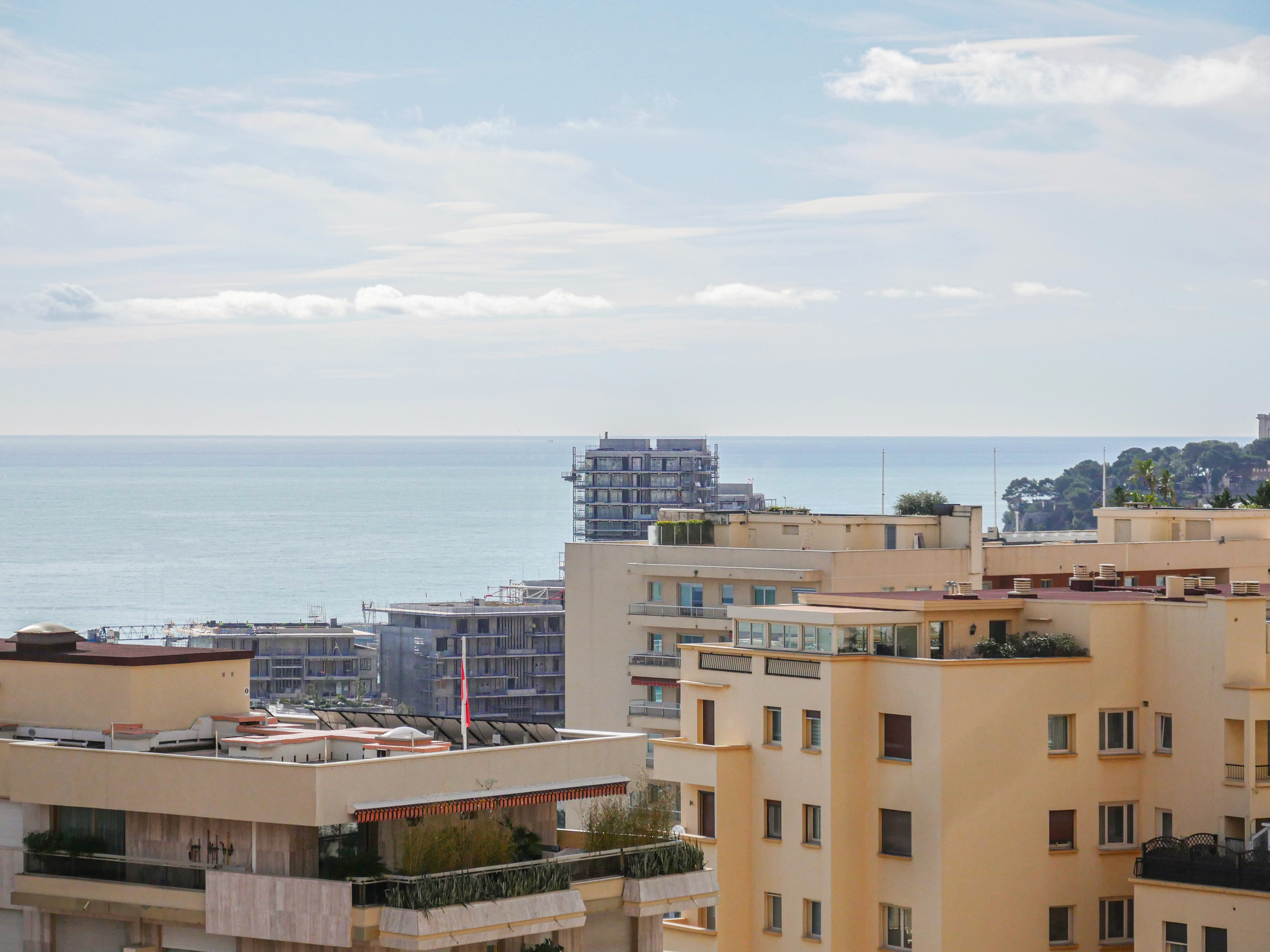 FWnl0_vue-zoom-1707845784.jpg