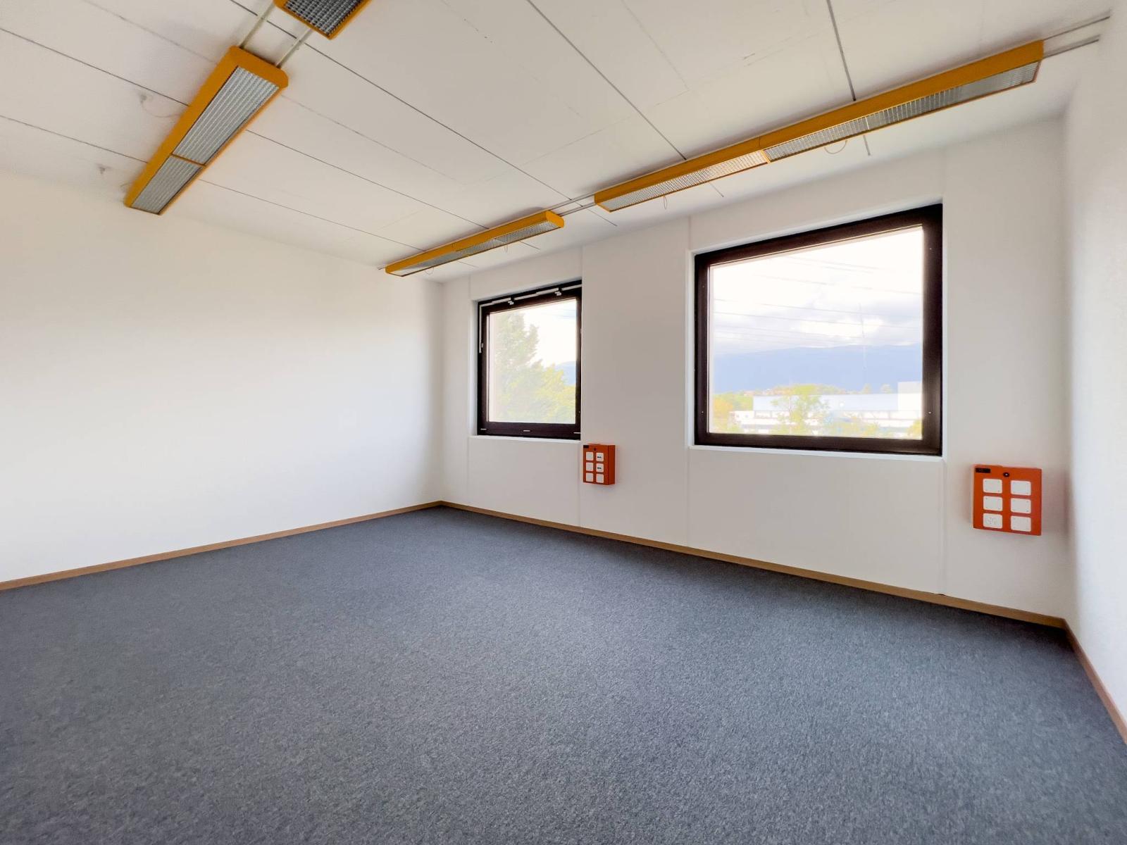 Laboratoire, production, atelier de 420 m2 à louer à Satigny