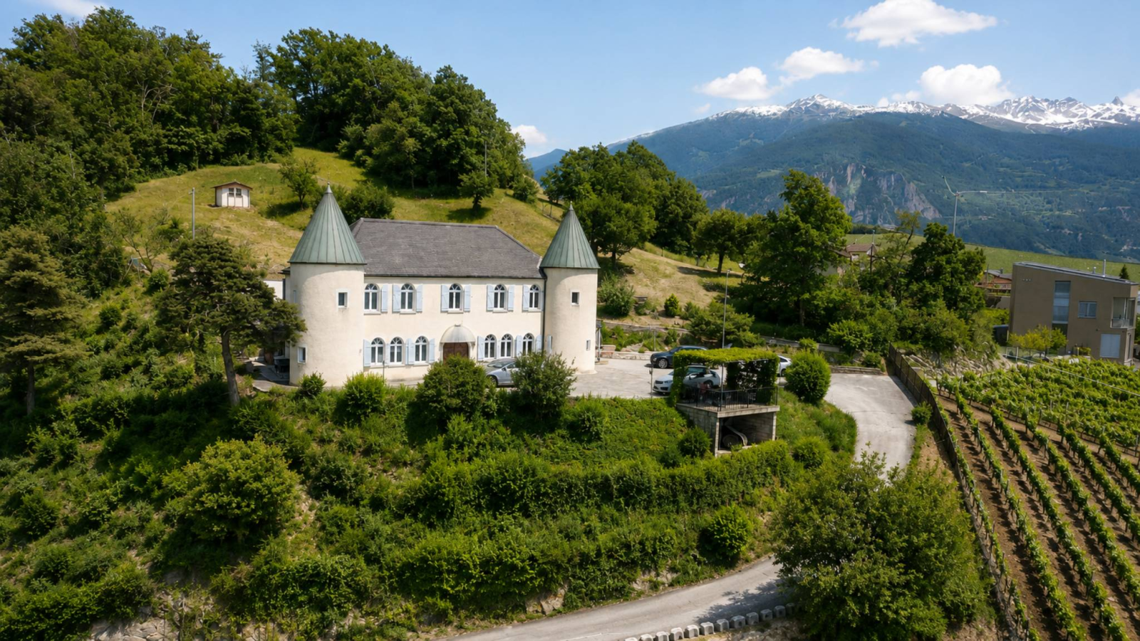 Bien rare à la vente au cœur des vignes - Hauts de Sion