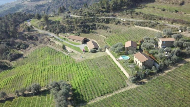 MAGNIFIQUE VIGNOBLE PROCHE DE MONACO