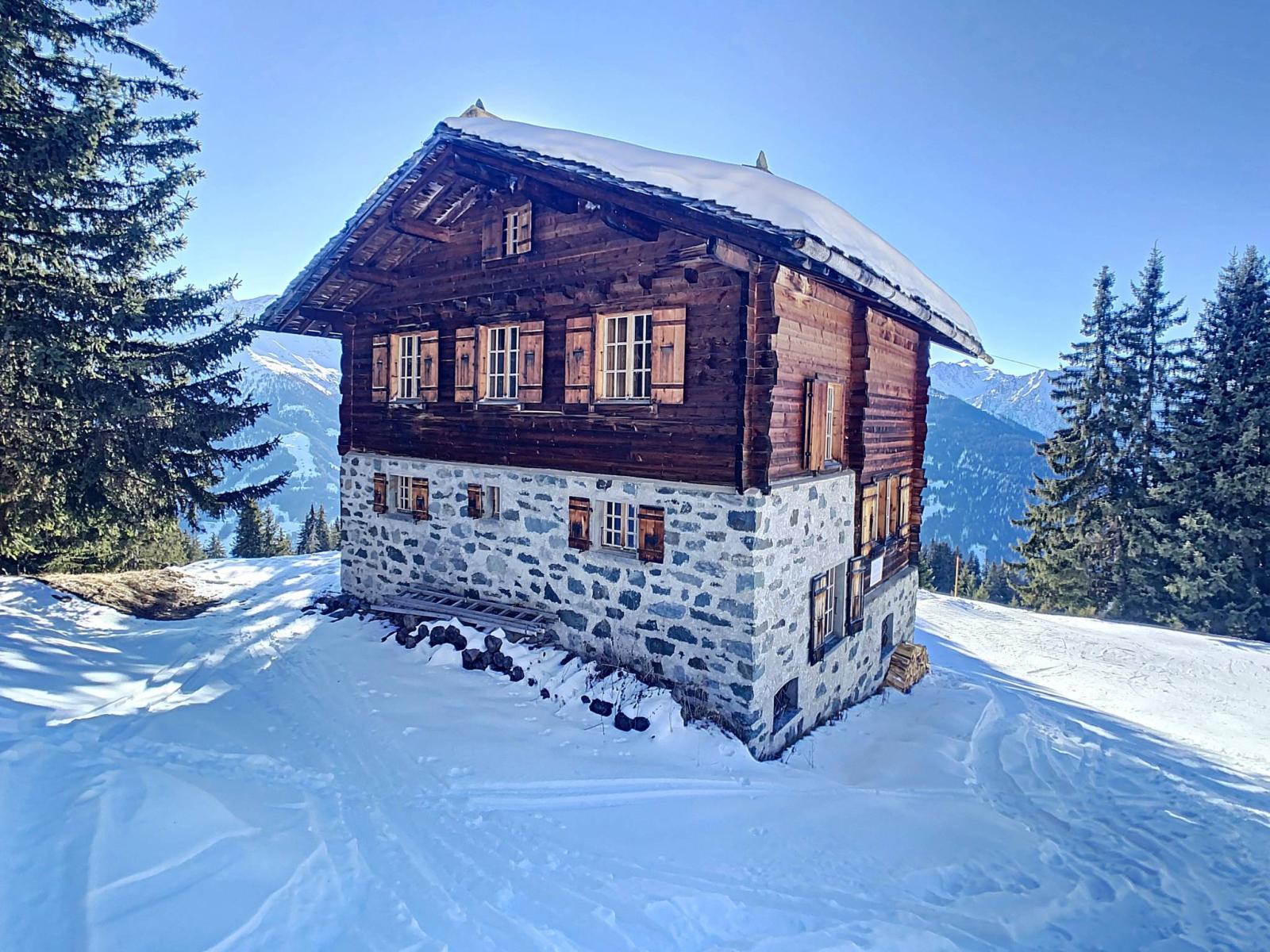 CHALET EXCEPTIONNEL SKI IN & OUT