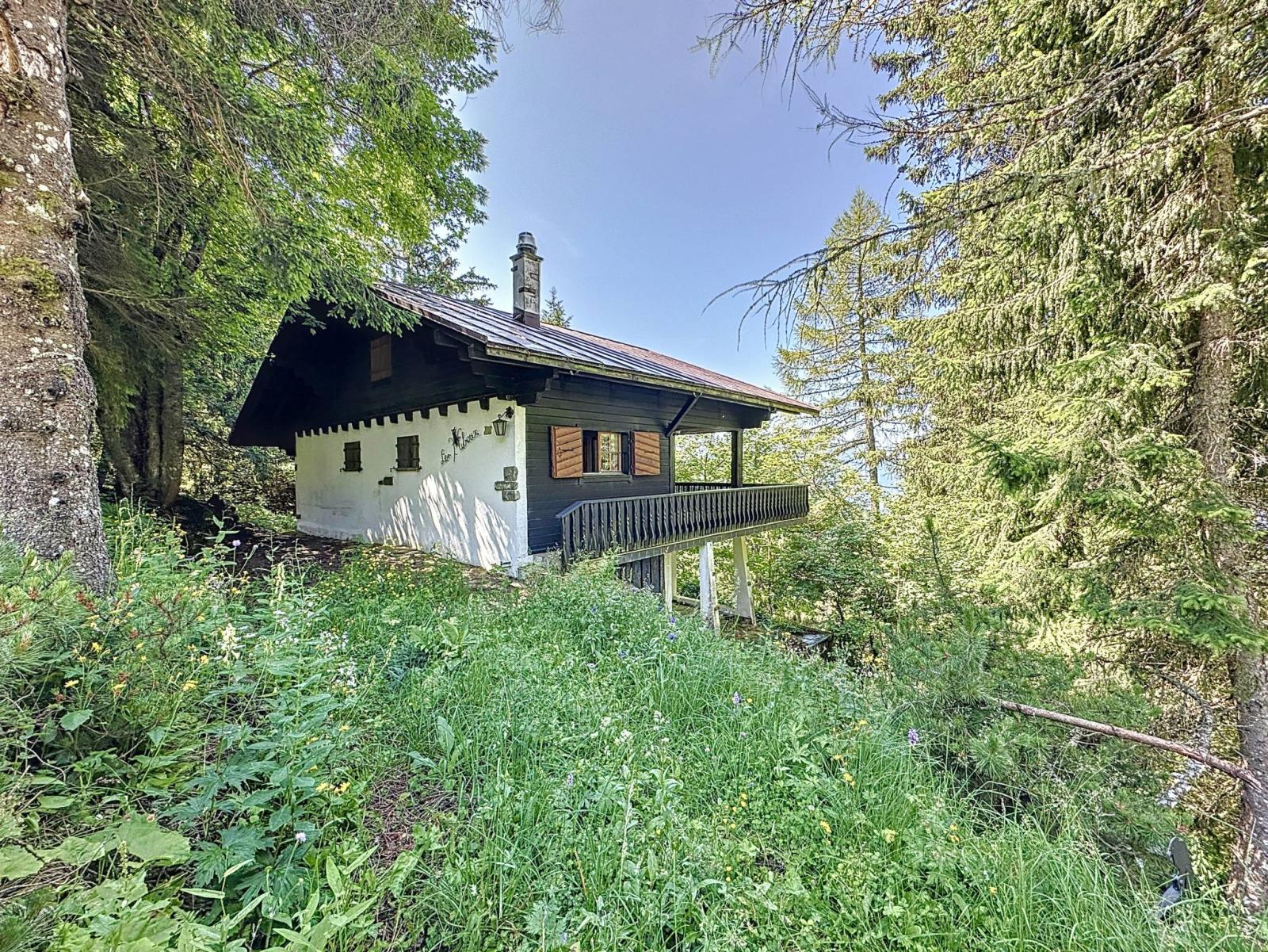 Véritable Havre de Paix ! Chalet de 3.5 pièces proche du Col de Jaman