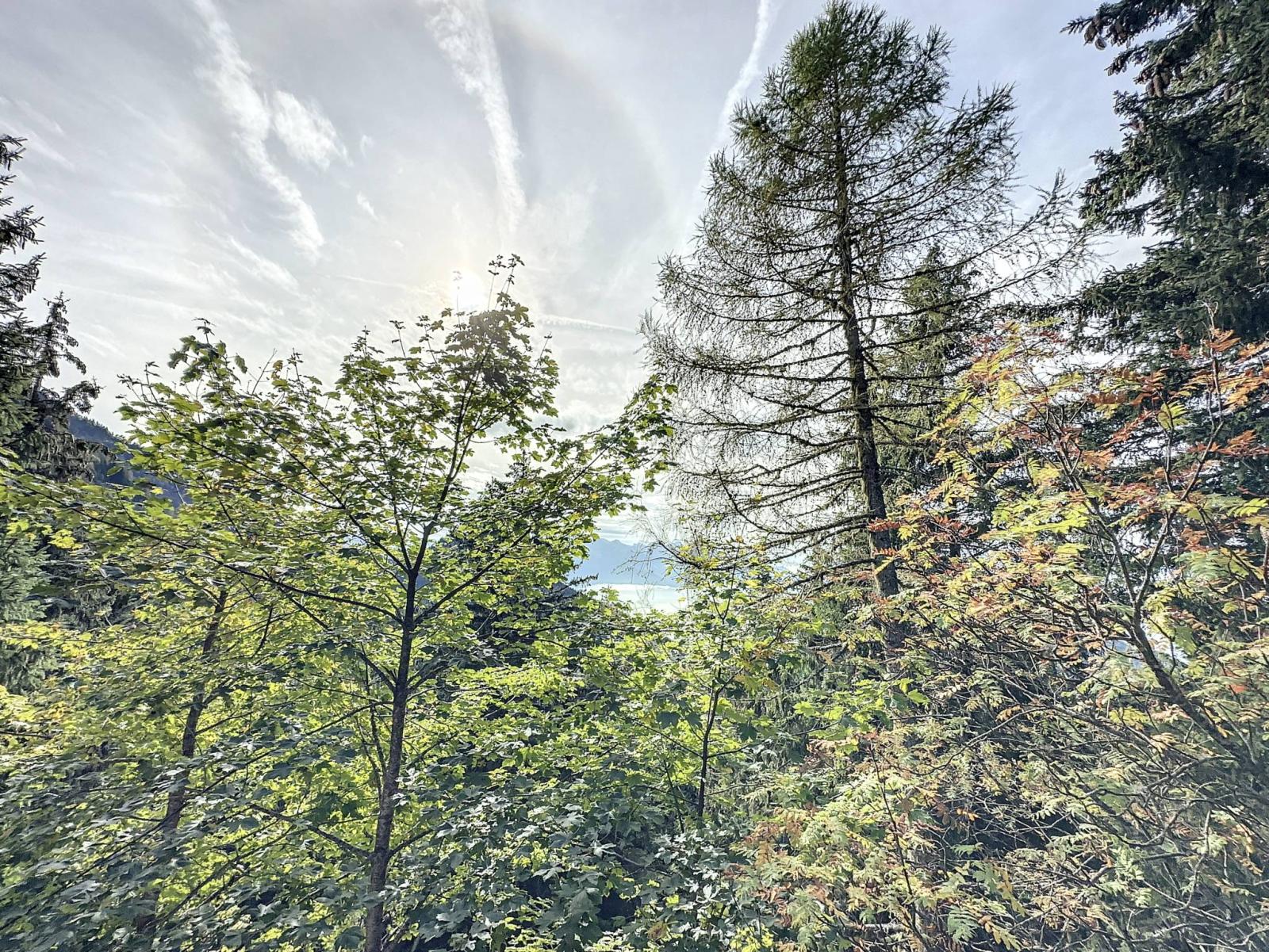 Véritable Havre de Paix ! Chalet de 3.5 pièces proche du Col de Jaman