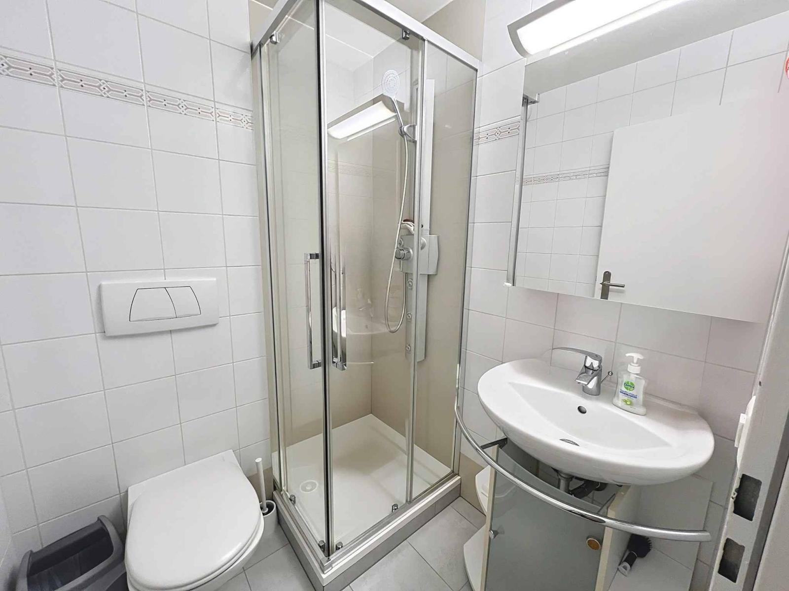 Agréable appartement lumineux avec duplex