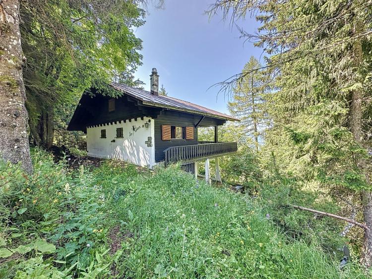 Véritable Havre de Paix ! Chalet de 3.5 pièces proche du Col de Jaman