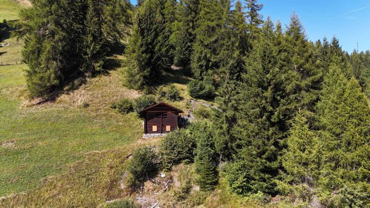 JOLI MAYEN BRUSON - 2 CHAMBRES - 60 M2 