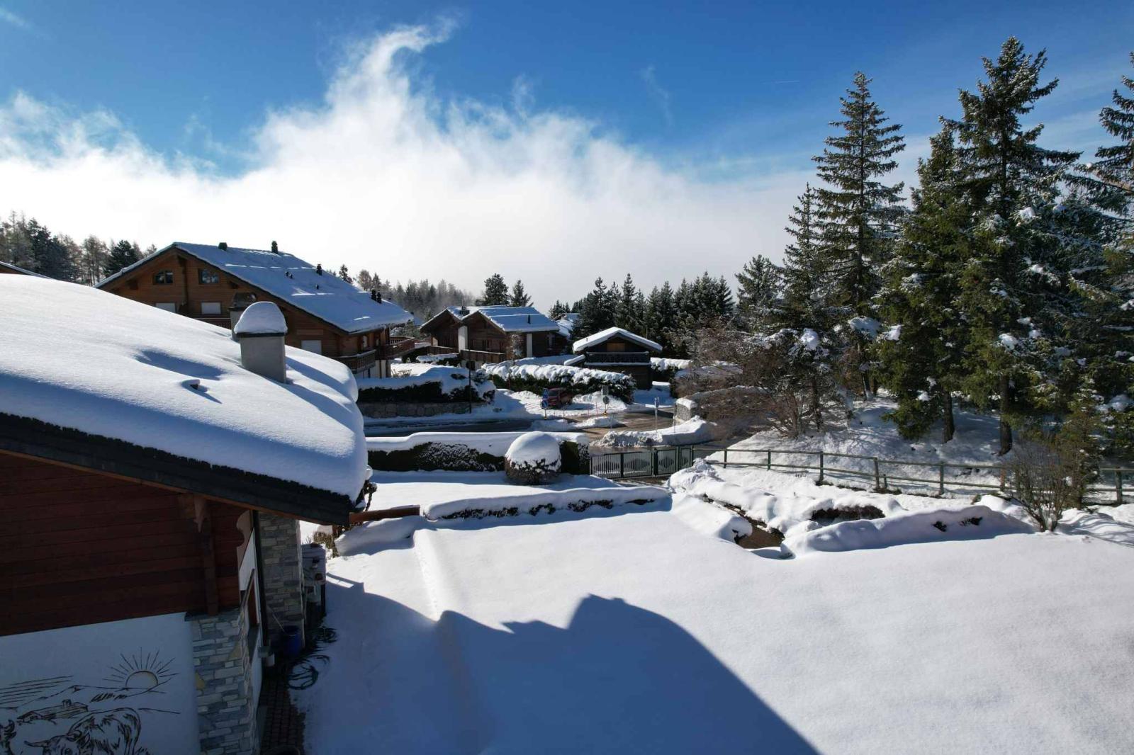 Domaine avec 2 chalets individuels reliés par les sous-sols
