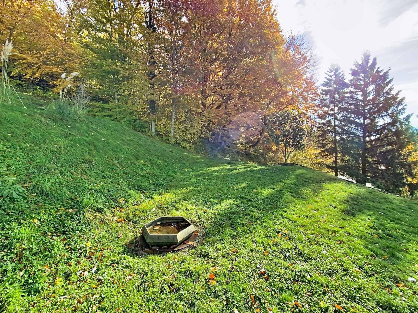 Magnifique maison en pleine nature